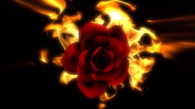 Hot Rose