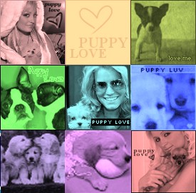 Puppy Love