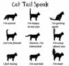 Cat tail speak