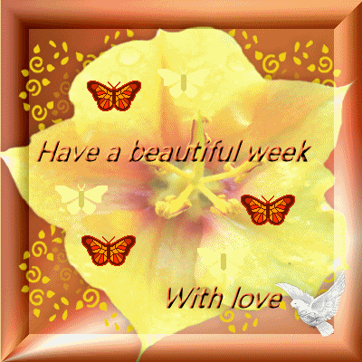 Have a Beautiful Week With love