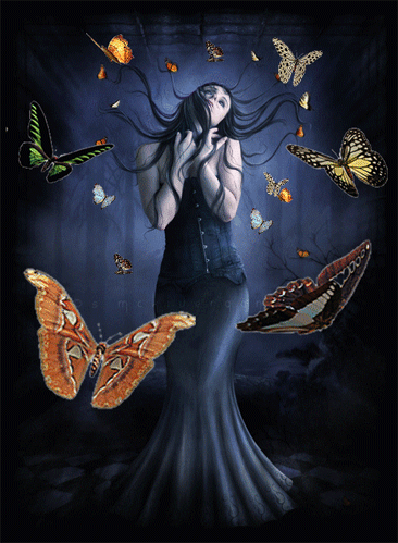 Fantasy Girl butterfly
