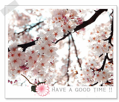 Have a good time!!