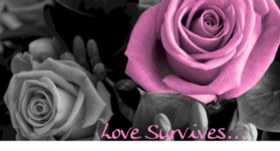 Love Survives