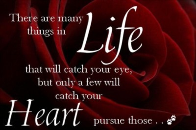 There are many things in Life that will catch your eye, but only a few will catch your Heart pursue those..