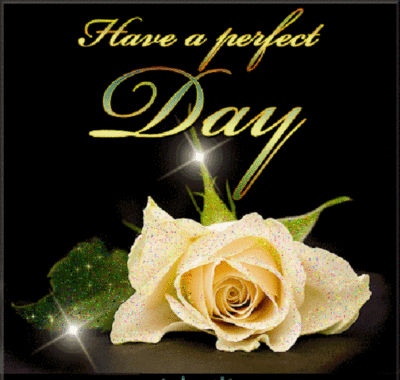 have a perfect day