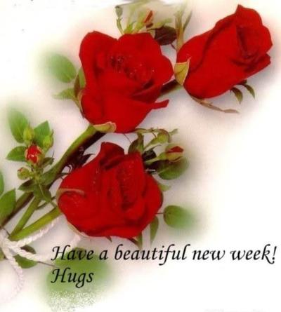 Have a Beautiful New Week. Hugs 