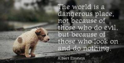 The world is a dangerous place, not because of those who do evil, but because of those who look on and do nothing. Albert Einstein