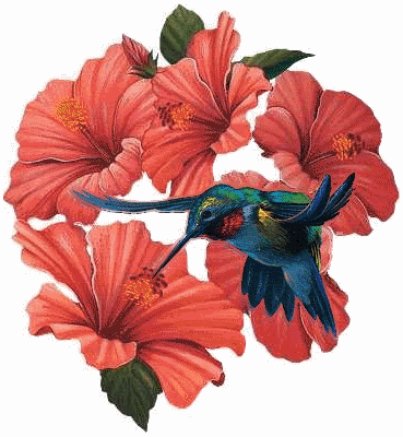 Bird & flowers