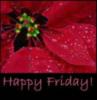 Happy Friday! Red flower
