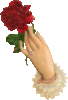 Rose for you with love