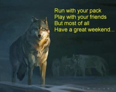 Run with your pack Play with your friends But most of all Have a great weekend...