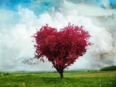 Heart Tree