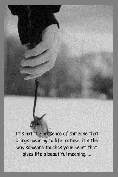 It's not the presence of someone that brings meaning to life, rather, it's the way someone touches your heart that gives life a beautiful meaning... 