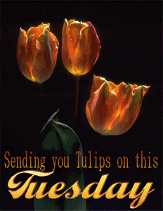 Sending you Tulips on this Tuesday