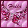 Hello Pink butterfly