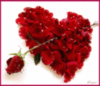 Roses heart Love