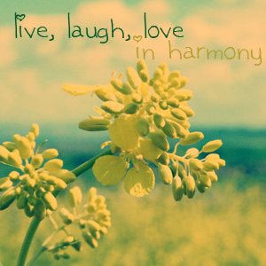 Live, Laugh, Love In Harmony