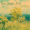 Live, Laugh, Love In Harmony