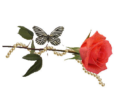 Rose &  butterfly