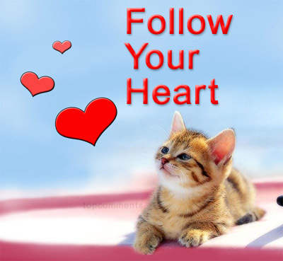 Follow Your Heart