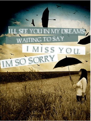 I'll see you in my dreams waiting to say I MISS YOU. I'M SO SORRY