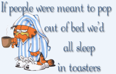 If people were meant to pop out of bed we'd all sleep in toasters Garfield
