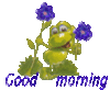 Good Morning Frog with Flowers