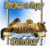 Enjoy a lazy Sunday