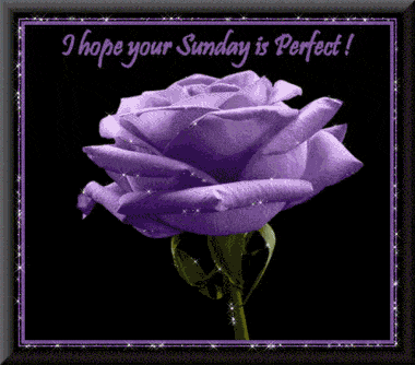I hope your Sunday is Perfect!