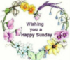 Wishing you a Happy Sunday
