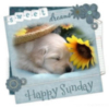 Happy Sunday Sweet Dreams Cute puppy