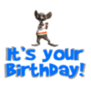 It's your Birthday! Dancing mouse