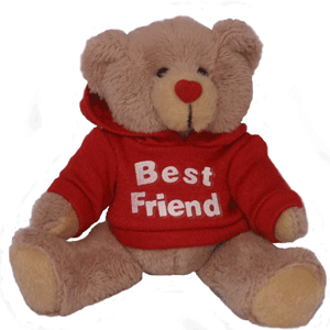Best Friend Bear
