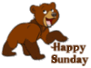 Happy Sunday Bear
