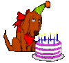Birthday Cake Dog