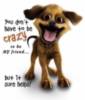 You don't have to be CRAZY to be my friend... but it sure helps!