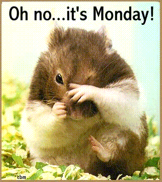 Oh no...it's Monday!