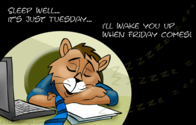 Sleep Well...It's just Tuesday... i'll wake you up when Friday comes!