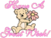 Have a great week! Bear with flower