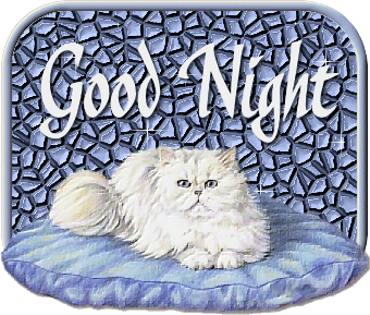 Good night Cute Cat Bumbulis