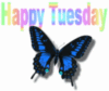 Happy Tuesday butterfly