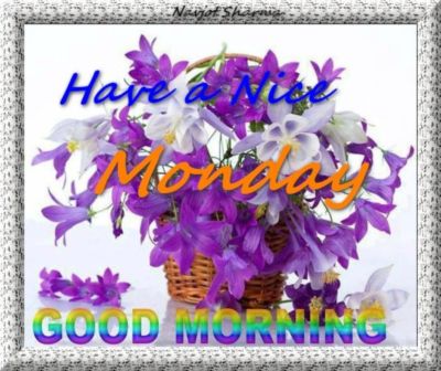 Good Morning Have a nice Monday