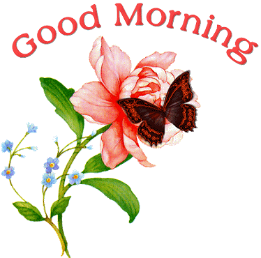 Good Morning flower with butterfly