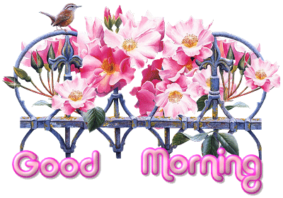 Good Morning Pink Flowers