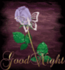 Good night Rose and butterfly