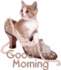 Good Morning Cute Kitten in the shoe
