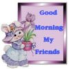 Good Morning my Friends