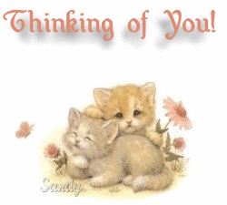 Thinking of You Cute kittens