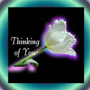 Thinking of You Flower