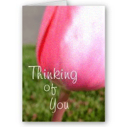 Thinking of You Flower